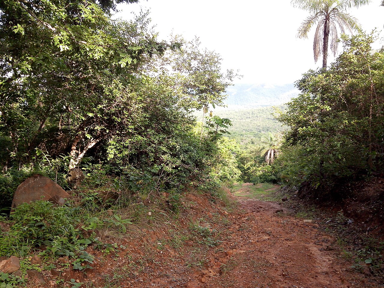 Taquaruçu